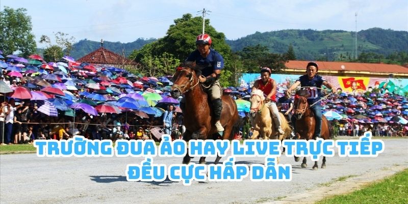 Trường đua ảo hay live trực tiếp đều cực hấp dẫn