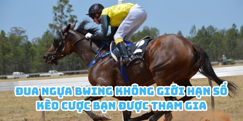 Đua ngựa Bwing không giới hạn số kèo cược bạn được tham gia