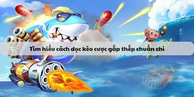 Tìm hiểu cách đọc kèo cược gấp thếp chuẩn chỉ