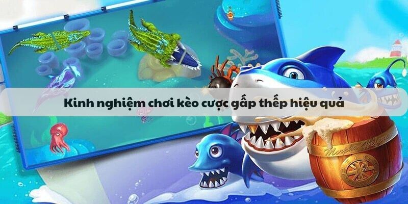 Kinh nghiệm chơi kèo cược gấp thếp hiệu quả